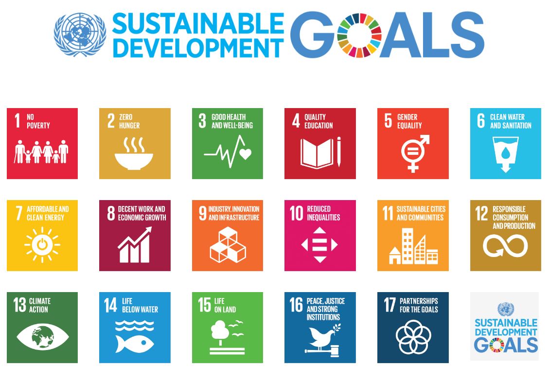 Image result for sustainable development goals