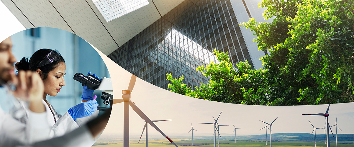Alphinity - a boutique Australian and Global equities investment manager